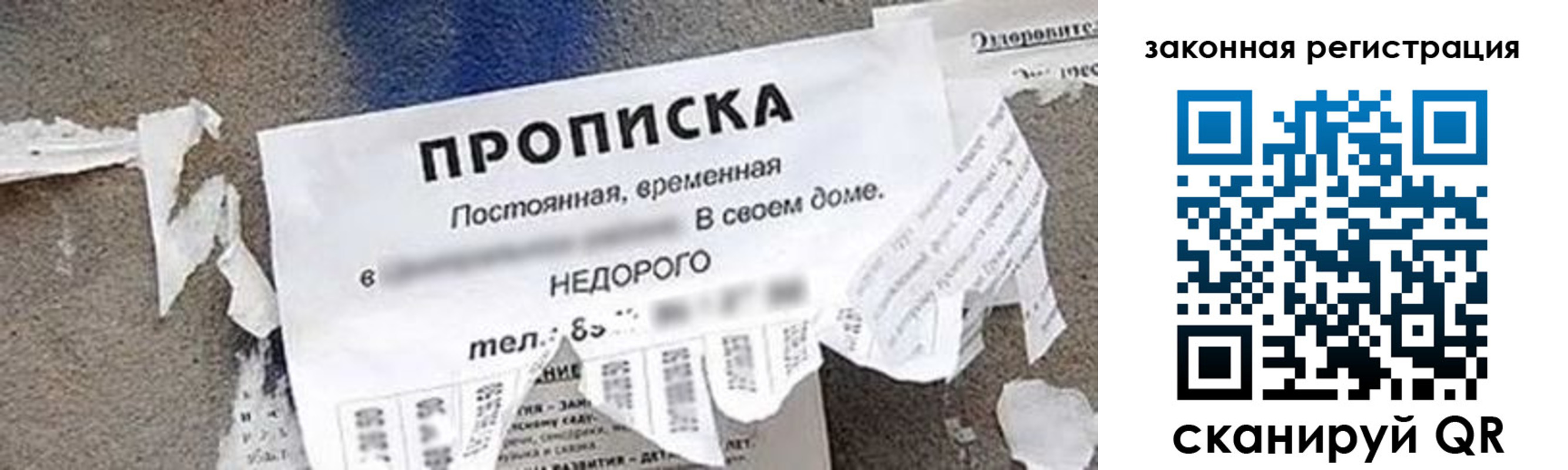 временная регистрация надежно в Дубне